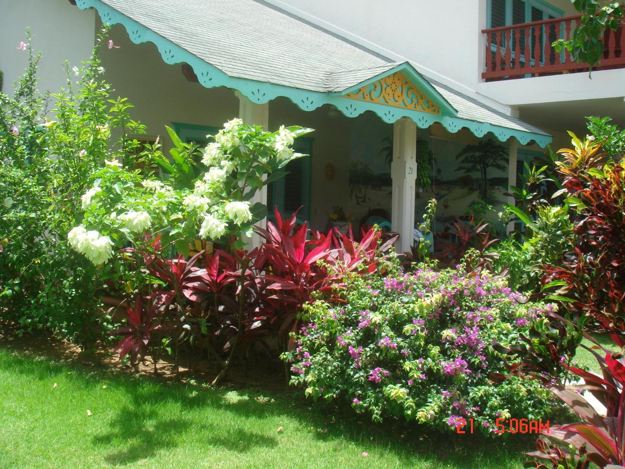 Hotel Playa Colibri Las Terrenas Exterior photo