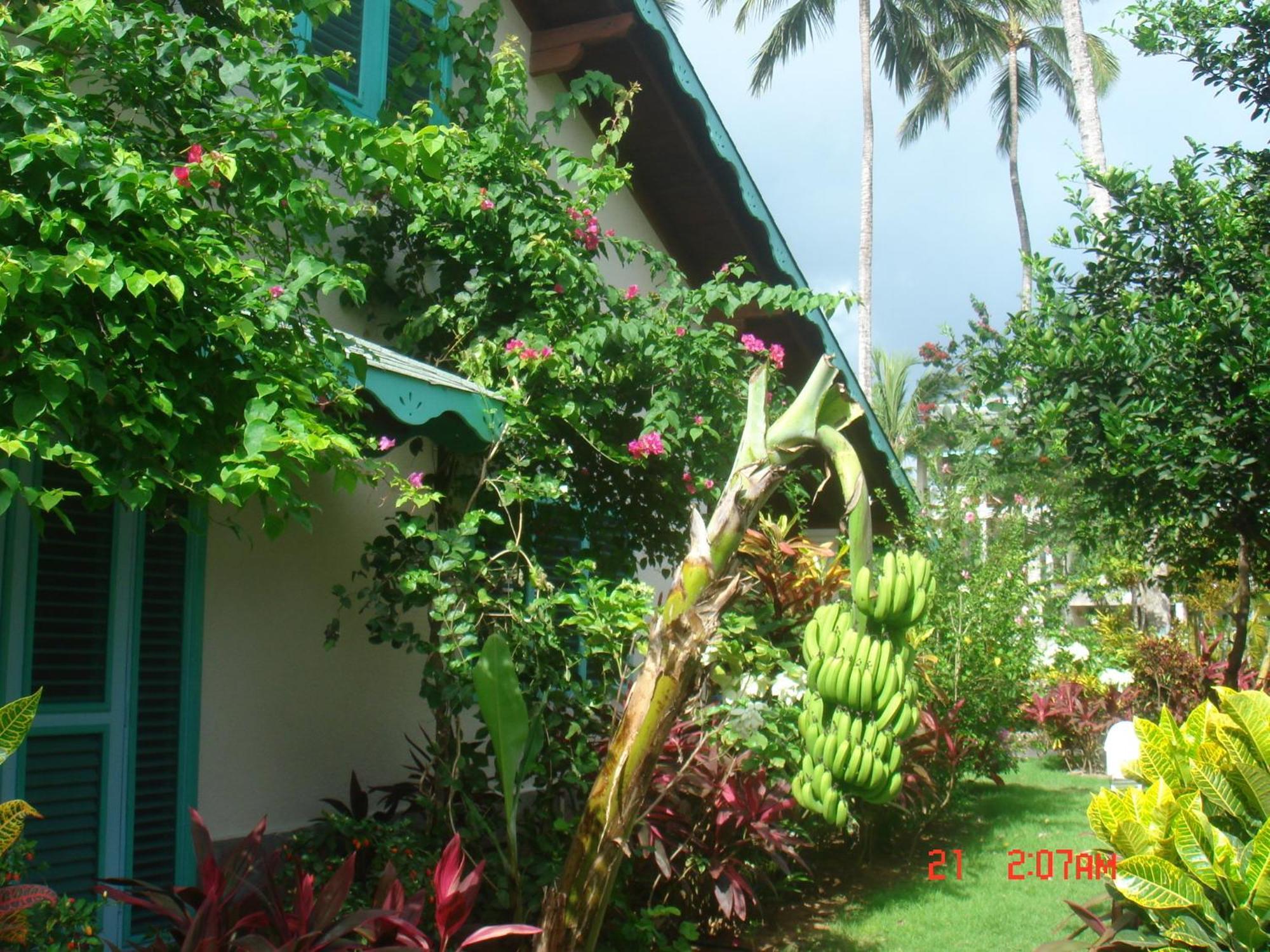 Hotel Playa Colibri Las Terrenas Exterior photo